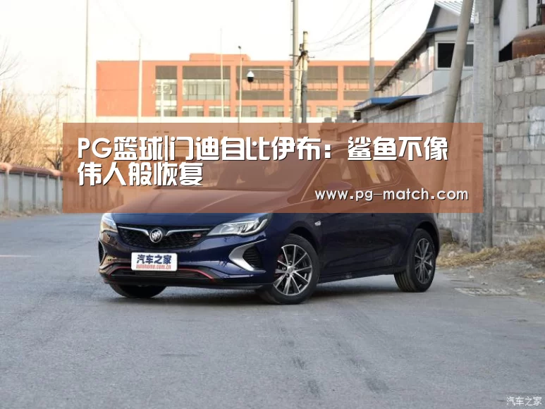 PG篮球