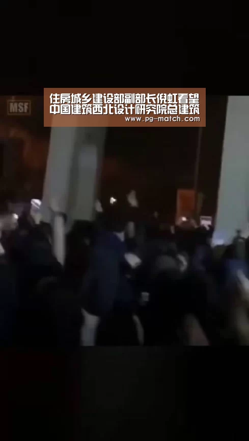 住房城乡建设部副部长倪虹看望中国建筑西北设计研究院总建筑师张锦秋院士|PG足球(图3) PG篮球