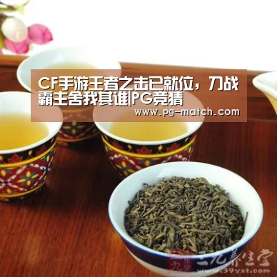 PG篮球