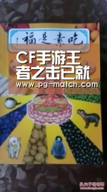 PG篮球