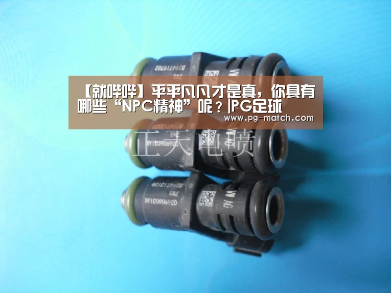 【就哔哔】平平凡凡才是真,你具有哪些“NPC精神”呢?|PG足球(图1) PG竞猜