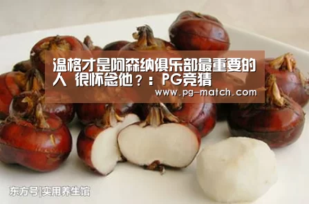 温格才是阿森纳俱乐部最重要的人 很怀念他?:PG竞猜(图4) PG竞猜