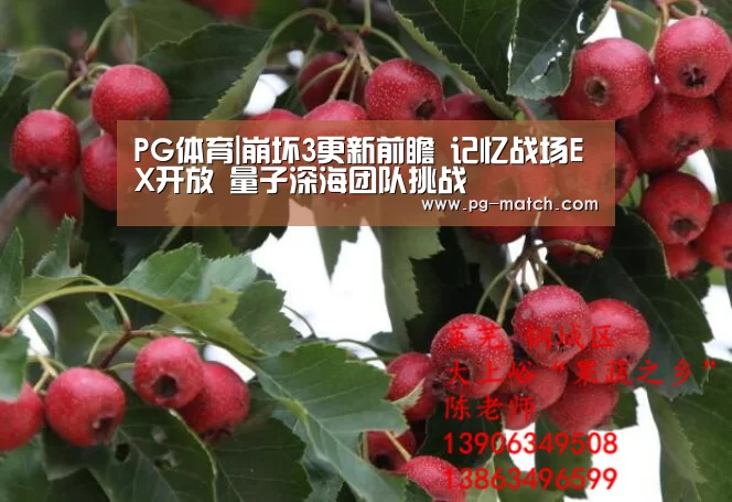 PG体育