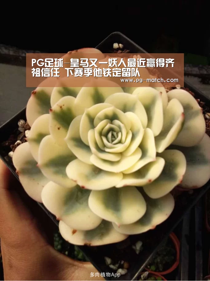 PG足球-皇马又一妖人最近赢得齐祖信任 下赛季他铁定留队(图4) PG篮球