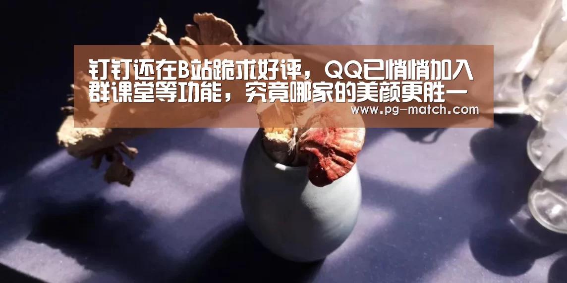 钉钉还在B站跪求好评,QQ已悄悄加入群课堂等功能,究竟哪家的美颜更胜一筹?|PG体育(图3) PG体育