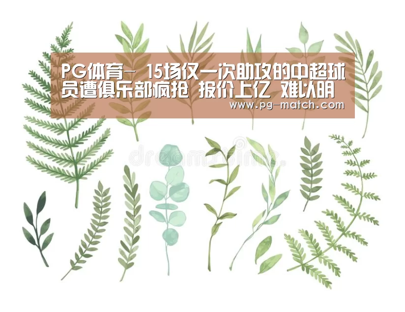 PG体育-
15场仅一次助攻的中超球员遭俱乐部疯抢 报价上亿 难以明白!(图1) PG篮球